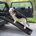 Portable Dog Ramp for Cars Trucks Suvs 61 In. L